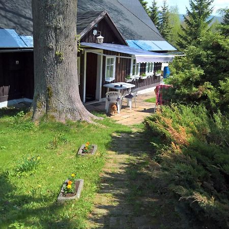 Chata V Srdci Krkonos Villa Kořenov Eksteriør billede