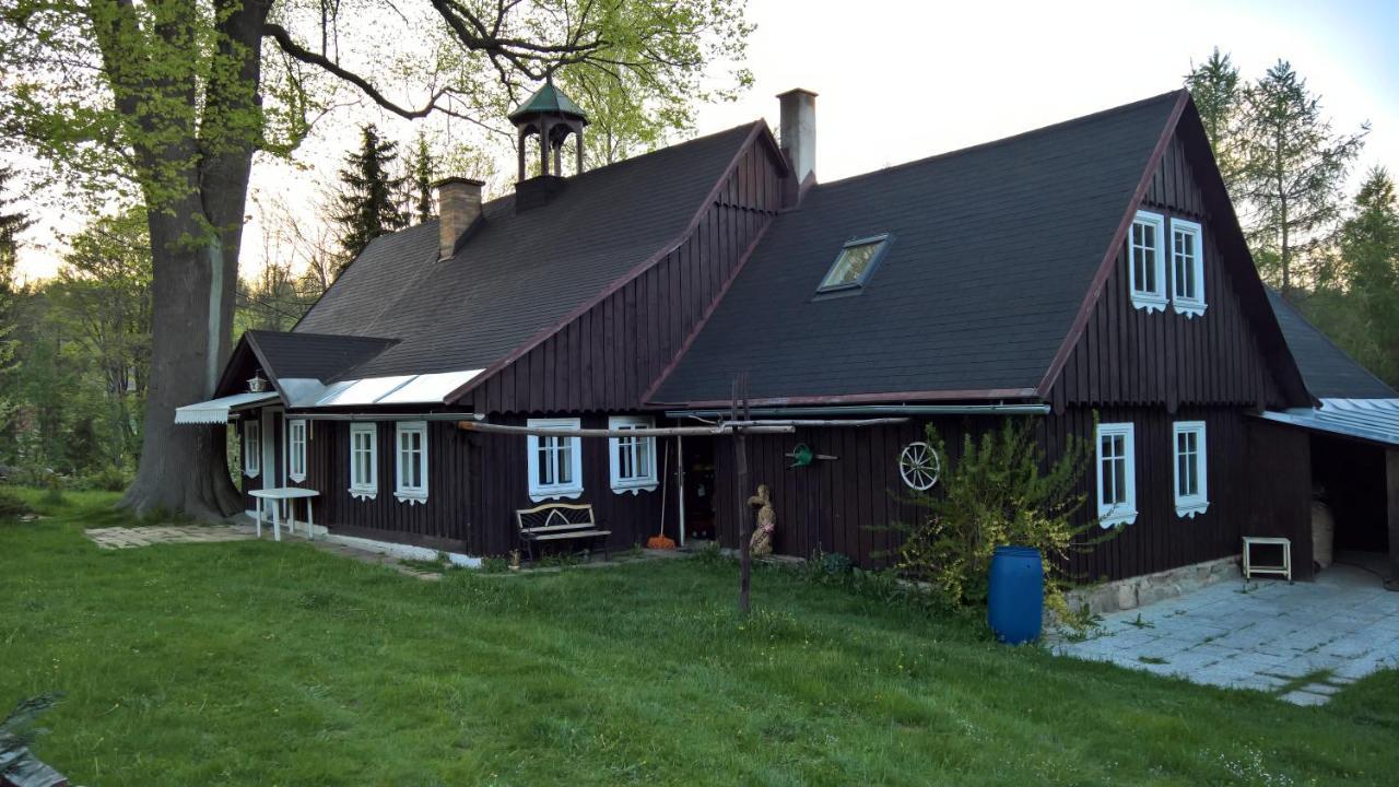 Chata V Srdci Krkonos Villa Kořenov Eksteriør billede